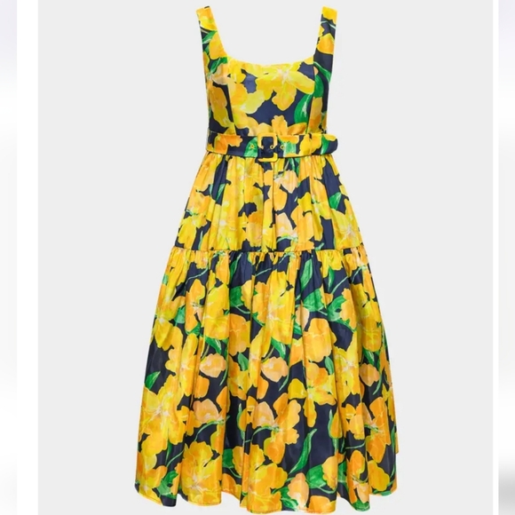 NEW Anthropologie Hutch Alice Fit & Flare Midi Dress Size 4P - Picture 1 of 16